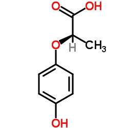 CAS:94050-90-5|(R)-( plus )-2-(4-Hydroxyphenoxy)propionsyre