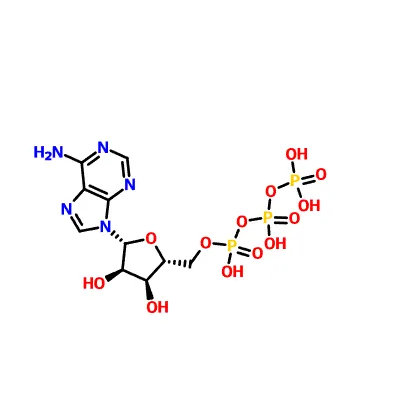 CAS: 56-65-5 Adenosintriphosphat