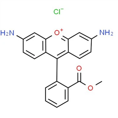 CAS:62669-70-9|Rhodamine 123