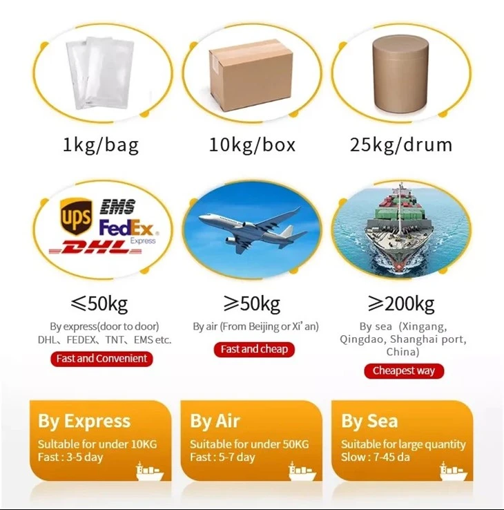 CAS:1397-89-3丨Amphotericin B