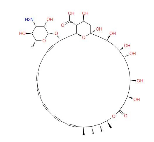 CAS:1397-89-3丨Amphotericin B